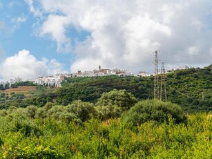 Alquiler Integro en Cádiz