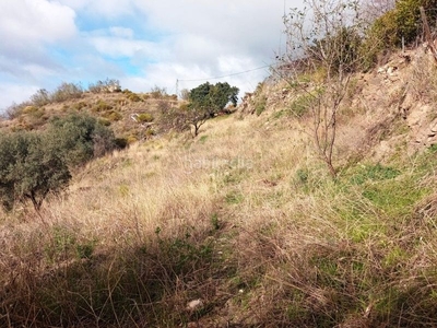 Casa de campo para reformar en Canillas de Aceituno