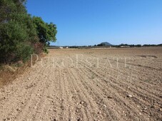 Parcela en venta en Manacor Centro