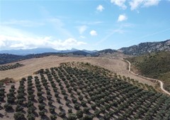 Parcela en Venta en Cuevas Del Becerro Málaga