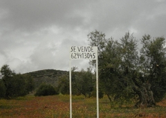 Terreno no urbanizable en venta en la Camino del Viso a Torrenueva' Santa Cruz de Mudela