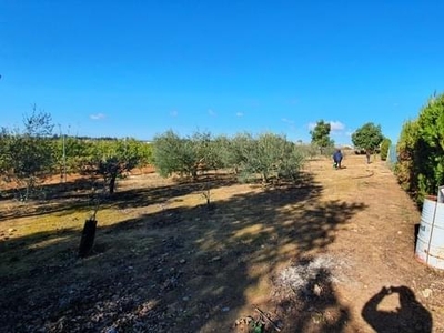 Terreno no urbanizable en venta en la Alto de Miranda' Gibraleón