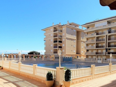 Alquiler de piso en Torrelamata - La Mata de 1 habitación con terraza y piscina