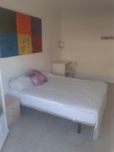 Habitaciones en Avda. Padre Esplá, Alicante - Alacant por 330€ al mes