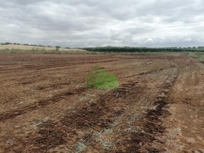 Parcela en venta en Torremayor