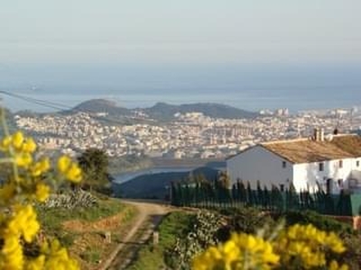 Finca rústica en venta en la Los Gámez