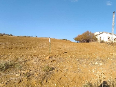 Finca rústica en venta en la Villafranco del Guadalhorce