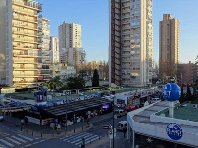 Venta Piso Benidorm. Piso de una habitación Tercera planta con terraza