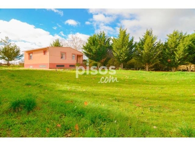 Finca rústica en venta en El Pino de Tormes