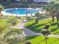 Alquiler de piso con piscina y terraza en Sanlúcar de Barrameda, Playa