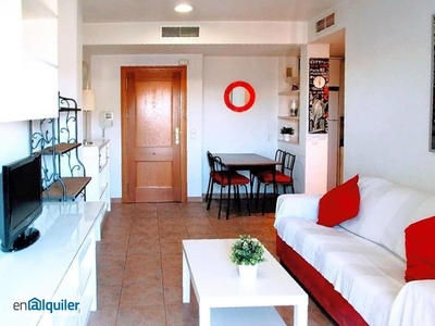 Alquiler apartamento en Avenida Reino de Murcia, Zarandona, Murcia