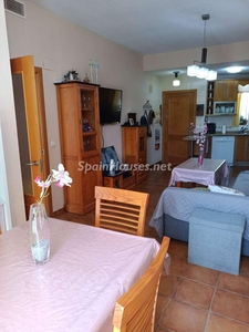 Apartamento bajo en venta en El Peñoncillo, Torrox