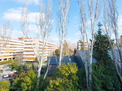 Piso 4 habitaciones de 203 m² en Madrid (28035)