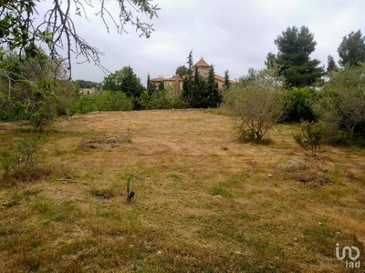 Terreno de 1.000 m² en Cabra del Camp (43811)