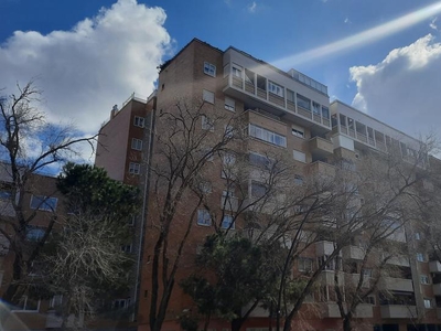 Piso de alquiler en Calle Matías Pastor Sancho, 11, Salvador Allende