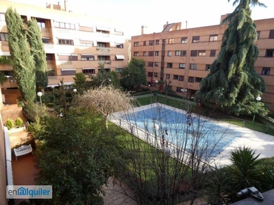 Alquiler piso terraza y piscina Madrid