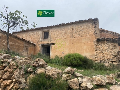 Finca/Casa Rural en venta en Saliente Alto, Albox, Almería