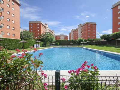 Piso en alquiler en Fontanal - San Carlos - San José de 2 habitaciones con terraza y piscina