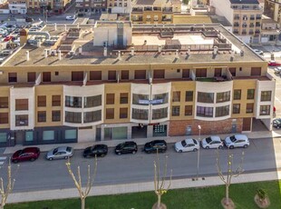 Comercial Venta Pilar de la Horadada