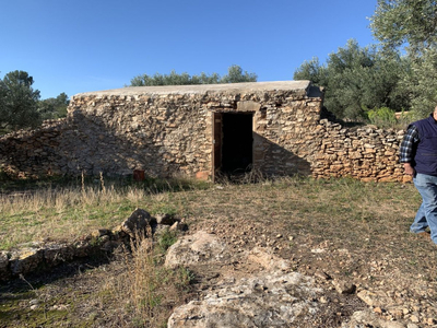 Casa con terreno en Xerta