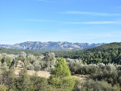 Chalet en Arens de Lledó