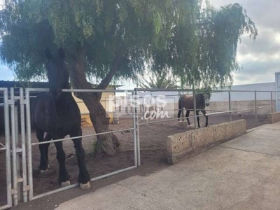 Finca rústica en venta en El Salto-Los Blanquitos-Chimiche