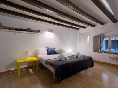 apartamento de 1 dormitorio en alquiler en El Raval, Barcelona