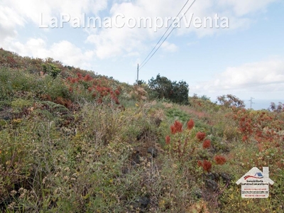 Terreno no urbanizable en venta en la Camino El Linar' San José