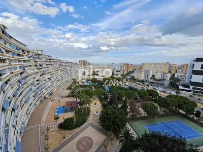 Apartamento en alquiler en Avenida de las Naciones