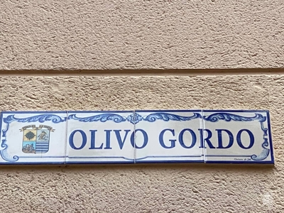 Piso en venta en Calle Olivo Gordo, 06700, Villanueva De La Serena (Badajoz)