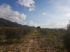 Casa con terreno en Abarán