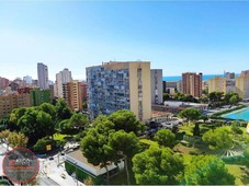 Venta Piso Benidorm. Piso de una habitación en Calle Noruega. Buen estado novena planta con terraza