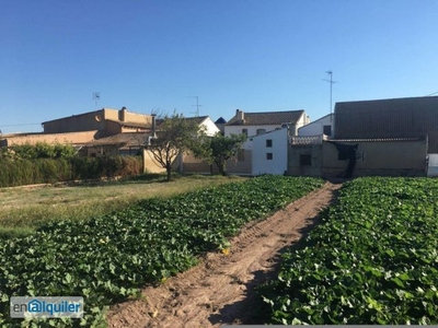 Alquiler de Chalet adosado en Partida de Saboia