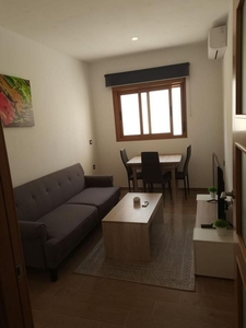 Alquiler de piso en avenida Cándido Lobera de 1 habitación con muebles y aire acondicionado