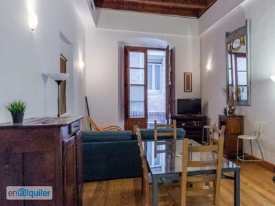 Apartamento informal de 1 dormitorio en alquiler cerca de la Galería del Museo del Cáñamo en Barri Gòtic