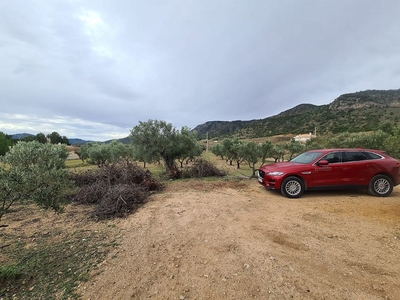 Salinas finca en venta