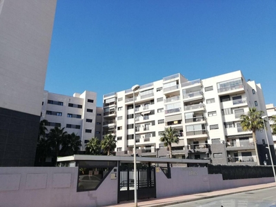 Alquiler de piso con piscina en Oliveros, Altamira, Barrio Alto (Almería)