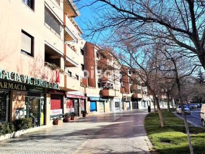 Piso en alquiler en Avenida de Europa en Estación-Zona Norte por 1.450 €/mes