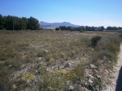 Country property for sale in Salinas