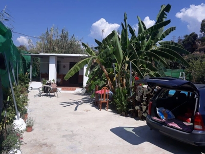 Terreno/Finca Rústica en venta en Avda Pescia - Ctra de Frigiliana, Nerja, Málaga