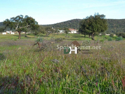 Solar en venta en Cáceres