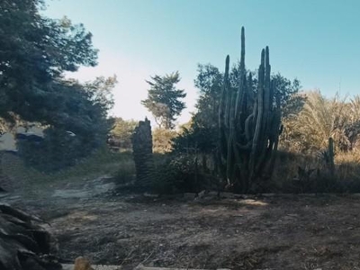 Casa con terreno en Elche