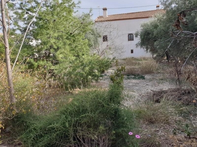 Casa con terreno en Petrer