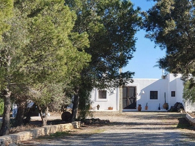 Finca/Casa Rural en venta en Agua Amarga, Níjar, Almería