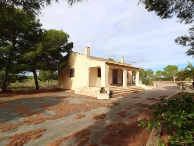 Finca/Casa Rural en venta en Algorfa, Alicante