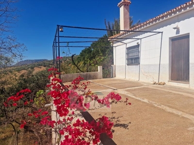 Finca/Casa Rural en venta en Alora, Málaga