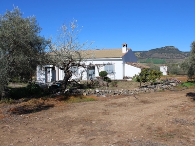 Finca/Casa Rural en venta en Arriate, Málaga