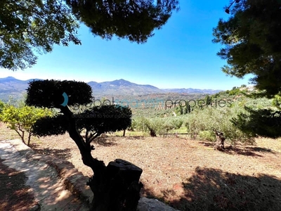 Finca/Casa Rural en venta en Bélmez de la Moraleda, Jaén