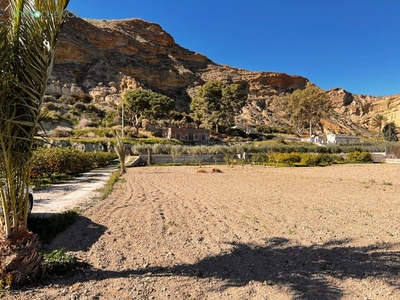 Finca/Casa Rural en venta en Cuevas del Almanzora, Almería