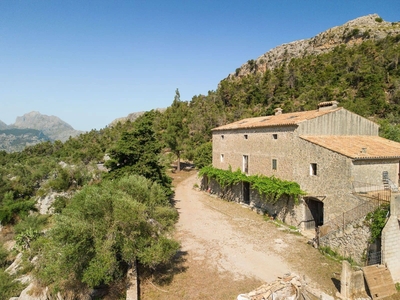 Finca/Casa Rural en venta en Escorca, Mallorca